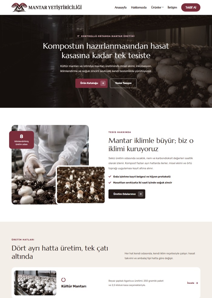 Mantar Yetiştiriciliği – Yeme İçme sitesi teması