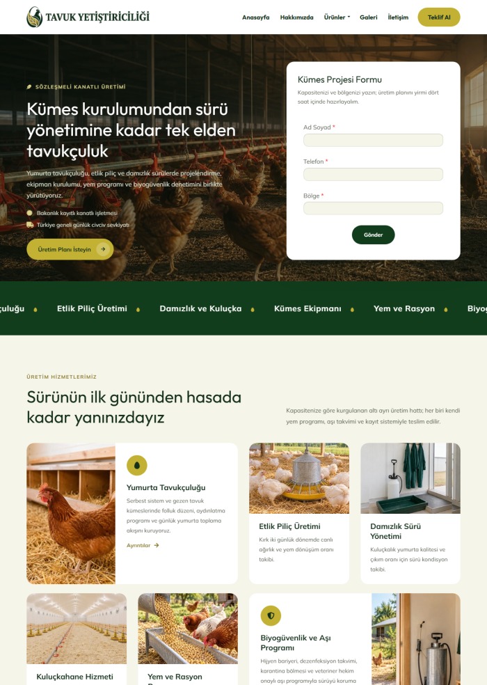 Tavuk Yetiştiriciliği – Yeme İçme sitesi teması